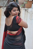 Sitara Saree Photos